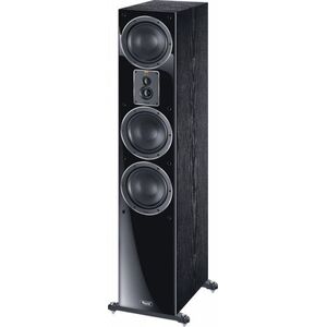 Kolumna Magnat Signature 507 200 W