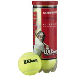 Wilson Piłka Tenis Championship 4 szt WRT110000 (19507)