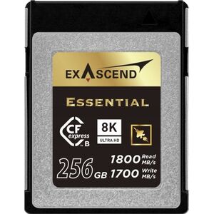 Karta ExAscend Karta pamięci Exascend Essential CFexpress B 256GB
