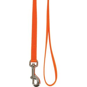 Zolux Smycz dla kota nylon 1 m/10 mm pomarańczowy 1104028 3336029461308