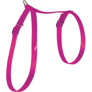 Zolux Szelki dla kota nylon 10 mm fuksja 1106885 3336020461321