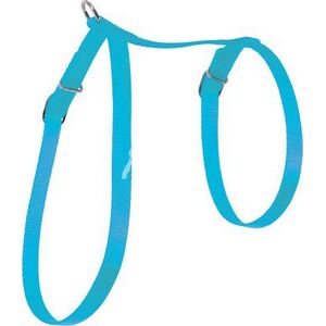 Zolux Szelki dla kota nylon 10 mm turkusowy 1107443 3336029991324