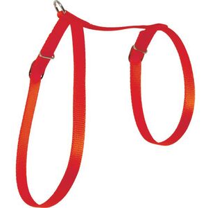 Zolux Szelki dla kota nylon 10 mm czerwony 1107446 3336029961327