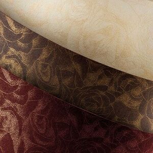 Argo KARTON OZDO.A4 RÓŻE BORDO 20ARK.250G KARTON OZDOBNY PREMIUM GALERIA PAPIERU - 202916 1482531 5903069014641