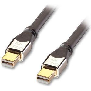 Kabel Lindy DisplayPort Mini - DisplayPort Mini 2m srebrny (41542) 1487838 4002888415422