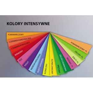 Trophee Papier ksero Trophee A4 80g pomarańczowy 500 arkuszy 1752460 3329680176100