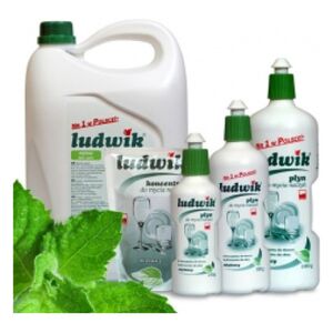 Ludwik Płyn do mycia naczyń miętowy 5L 3007437 5900861430013