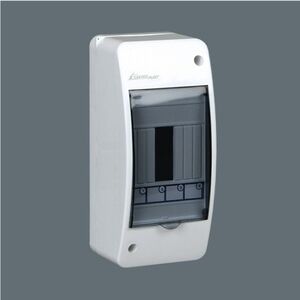 Elektro-Plast Rozdzielnica modułowa RNT 4S 1x4 natynkowa IP42 - 3.2 3113771 5903978376281