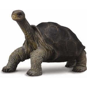 Figurka Collecta Żółw z Wyspy Pinta (004-88619)