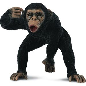 Figurka Collecta Szympans samiec 88492 COLLECTA - 004-88492