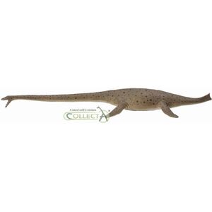 Figurka Collecta Dinozaur Thalassomedon 1:40 (004-88760)