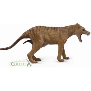 Figurka Collecta Wilk workowaty - tasmański, samica (004-88767)