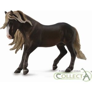 Figurka Collecta Koń Szwarcwaldzki - ogier XL (004-88769)
