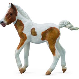 Figurka Collecta Źrebię rasy Dartmoor Hill (004-88735)