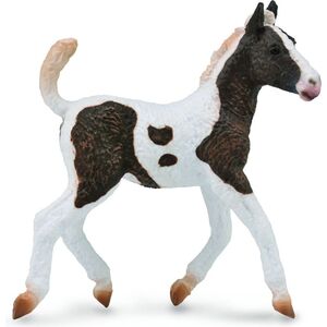 Figurka Collecta Żrebię rasy Bashkir Curly (004-88781)
