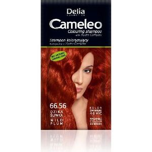 Delia Cosmetics Cameleo Coloring shampoo 66.56 wild plum 889193 5901350427859