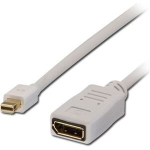 Kabel Lindy DisplayPort Mini - DisplayPort 1.5m biały 5352862 4002888410458