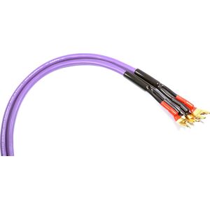 Kabel Melodika Widły - Widły 6m fioletowy 6030657 5907609004390