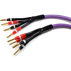 Kabel Melodika Banan x4 - Banan x4 6m fioletowy 6030760 5907609000415