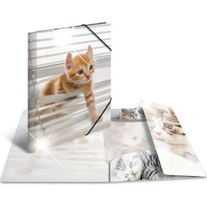 Herma Teczka A4 Glossy Katze 6415568 4008705193283