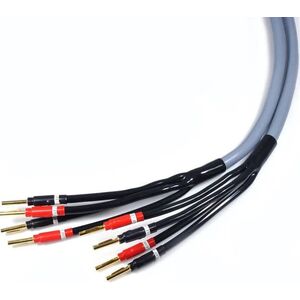 Kabel Melodika Banan x4 - Banan x4 6m szary 8464560 5907609000491