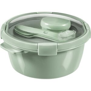 Curver Lunchbox Curver Pojemnik Śniadaniowy na Żywność z Tworzywa Sztucznego 1,6L (249948) 9032761 3253920921154
