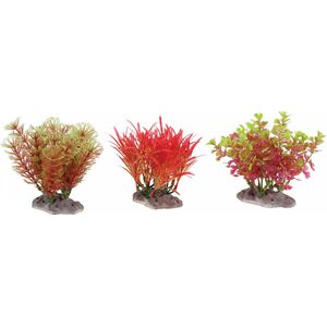 Zolux ZOLUX Display roślin S 6 szt. - zestaw A 10104457 3336023521251