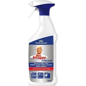Procter&Gamble Mr.Proper Środek Do Usuwania Kamienia I Czyszczenia Urządzeń Sanitarnych 750ml... 11282503 8006540555224