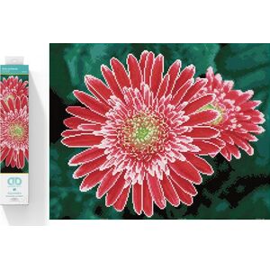 DIAMOND DOTZ Haft diamentowy Diamond Dotz Diamentowa mozaika Gerbera różowa 58x48cm DQ10001 13914738 4895225917938