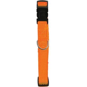 Zolux Obroża nylon regulowana 15 mm pomarańczowa 1103677 3336024620427