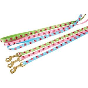Zolux Smycz nylonowa dla kota Butterfly 1 m zielony 1104036 3336029961402