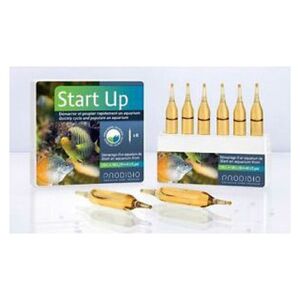 Prodibio Start Up 6 ampułek 1106979 3594200002119