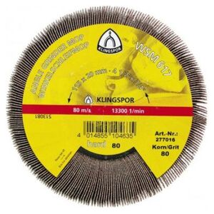 Klingspor Średnica listkowa nasadzana 125mm WSM617 gr.120 (K277021) 3427354 4014855104680