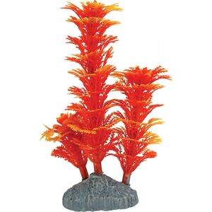 Zolux Ozdoba roślina pomarańczowa S 14 cm 4961076 3336023520650
