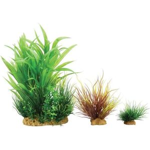 Zolux Dekoracja roślinna PlantKit Wiha model 2 (352141) 4961155 3336023521411