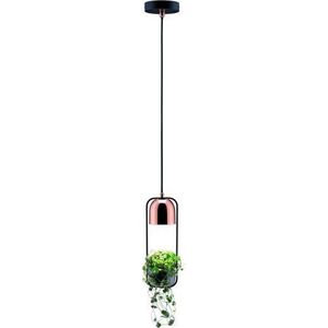 Lampa wisząca Paulmann Oprawa wisząca Neordic Fanja 1x20W GU10 Czarny/Miedź 230V Metall PL79749 6667065 4000870797495