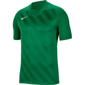 Nike Koszulka męska Challenge III zielona r. S (BV6703-302) 6709559 193654325367