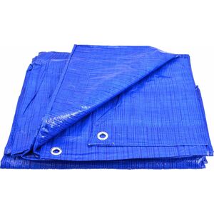 Plandeka AWTools 300 cm  x 300 cm 70 g/m2 7598010 5903678602741
