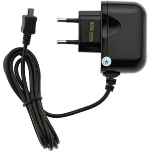 Ładowarka Blue Star TFK-TC-1100B 2 A (5901737193568) 8013419 5901737193568