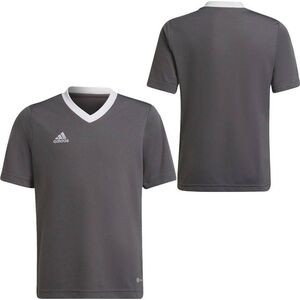 Adidas Koszulka adidas ENTRADA 22 JSY Y H57499 H57499 szary 152 cm 9808625 4065418753197