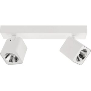 Lampa sufitowa Italux Lampa reflektor spot LED 10W AVEIRO SPL-31981-2B-WH Italux 10400132 5900644430223