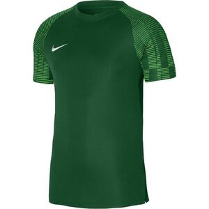 Nike Koszulka meczowa Jr Nike Warta Poznań Ekstraklasa 2022/23 12456827 195244568932
