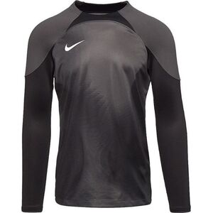 Nike Bluza Nike Gardien IV Goalkeeper JSY DH7967 060 12689390 195244547272
