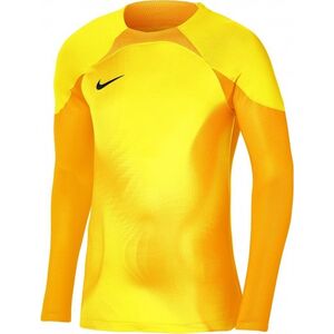 Nike Bluza Nike Gardien IV Goalkeeper JSY DH7967 719 12689395 195244547463