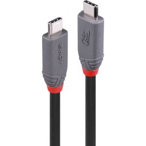 Kabel USB Lindy USB-C - USB-C 2 m Czarny (36958) 13233428 4002888369589