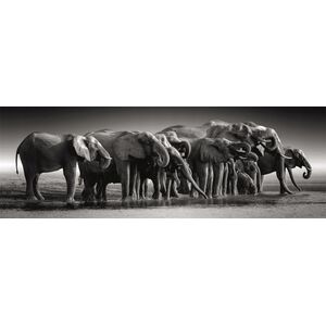 Clementoni Puzzle 1000 elementów Panorama High Quality Herd of Giants 13244882 8005125398362
