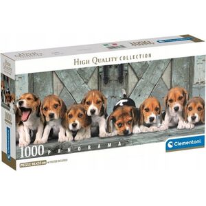 Clementoni Puzzle 1000 elementów Compact Panorama Beagle 13244919 8005125398690