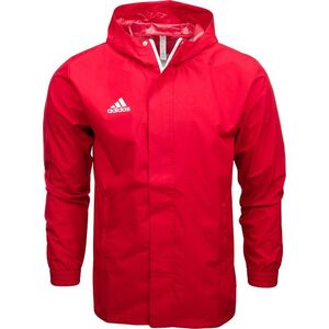 Kurtka męska Adidas Kurtka adidas ENTRADA 22 AW Jacket IK4013 13294001 4066756479497