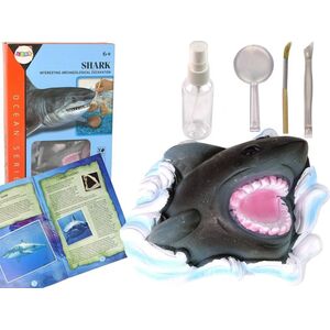 LeanToys Zestaw Edukacyjny Wykopaliska Rekin Amonity 13675068 5905679074435