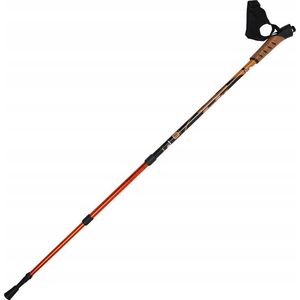 Sportech Kije trekkingowe 13681274 5905527732333